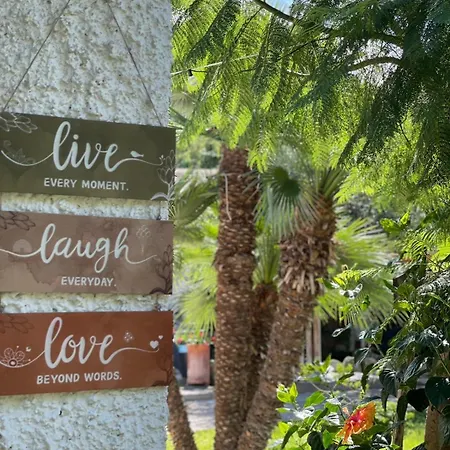 شقة Garden Ischia Super Forio di Ischia