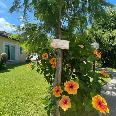شقة Garden Ischia Super *
