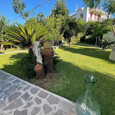 Garden Ischia Super Forio di Ischia