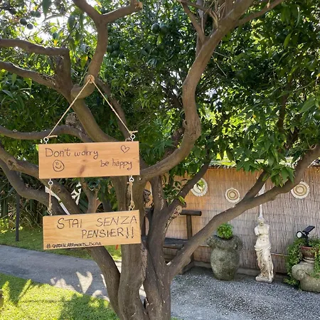 Garden Ischia Super Forio di Ischia